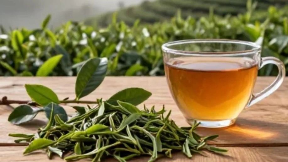 چای طبیعی شمال، انتخابی سالم و اقتصادی