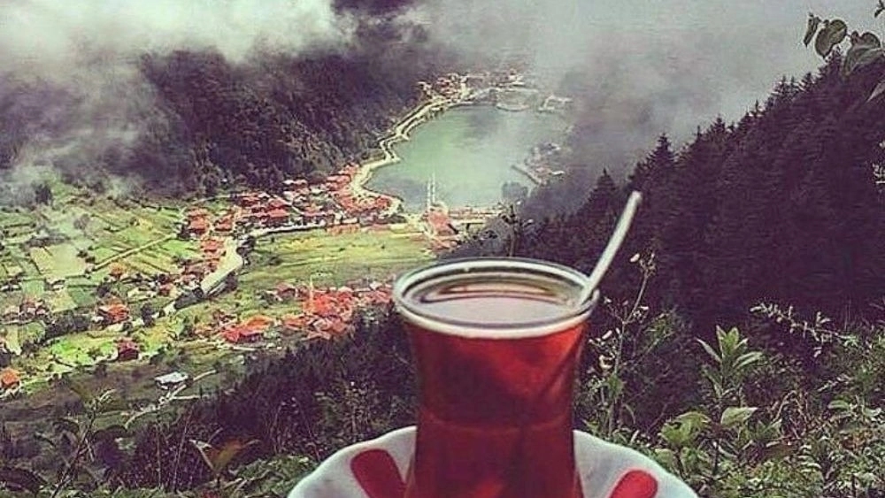 فروش چای ممتاز و اصل شمال با بسته بندی صادراتی فروش چای ممتاز و اصل شمال با بسته بندی صادراتی